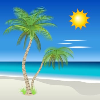 Tropical beach