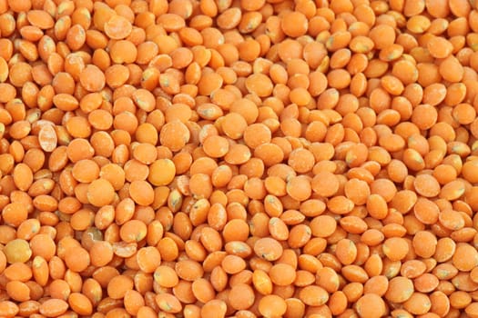 Red lentils