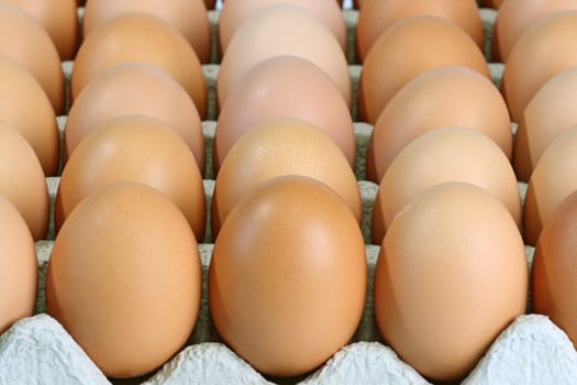 Egg pallet