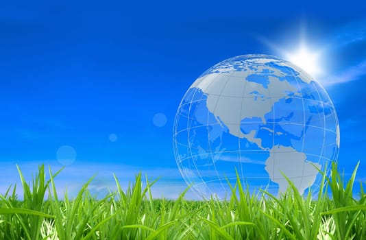 Globe in a fiel of grass