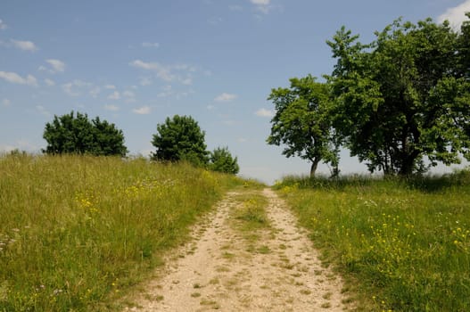 Dirt road