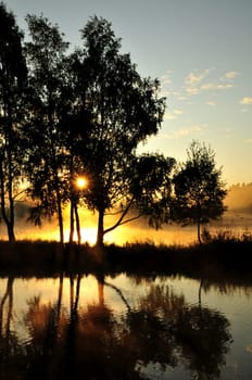 quiet moments...