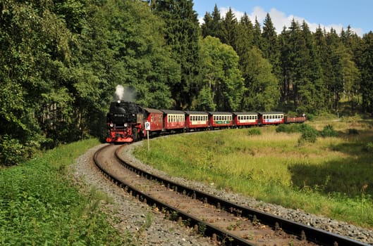 In the High Harz...