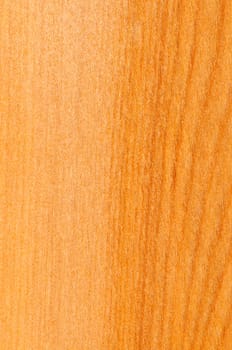 Pre-finished hardwood floor sample