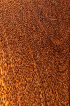 Pre-finished hardwood floor sample