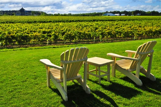 Chairs overlooking vineyard