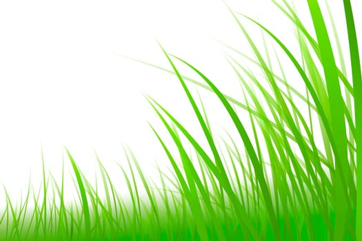 Grass Graphic Meadow Illustration
