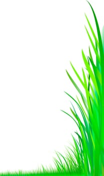 Grass Meadow Graphic Frog Perspective