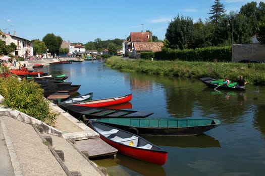 Coulon