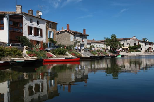 Coulon