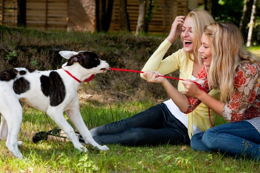 The dog is winning