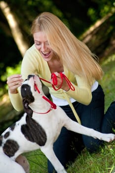 Playing with an american bulldog