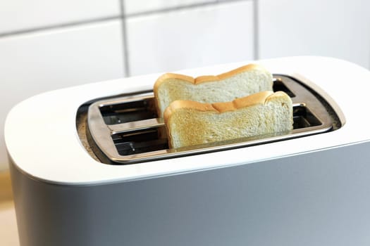 Toaster with two pieces of fried bread. High quality photo