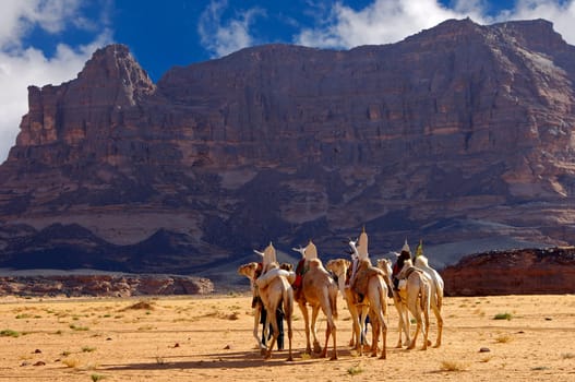Riding camels of the Tuareg nomads in a wadi in front of a mountain range in the Akakus region