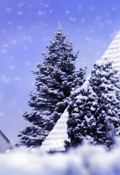 winter-quietly-trickles-the-snow