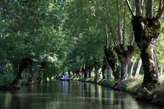 Marais Poitevin