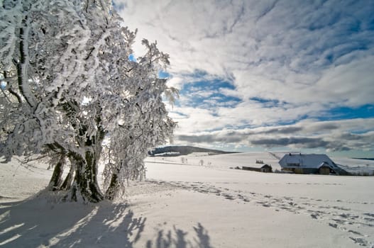Winter200920