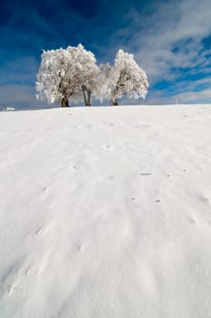 Winter200919