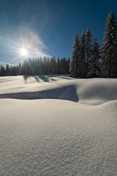 Winter200921