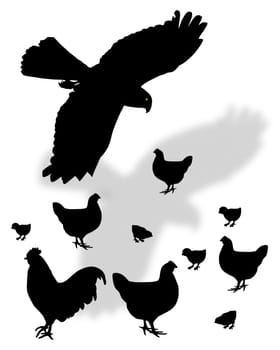 Birds of prey in search of prey