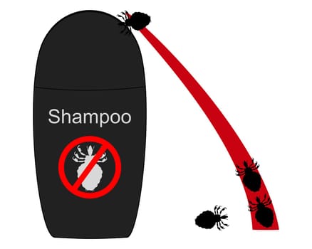 Lice shampoo and hair with lice on white background