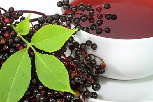 Elderberry tea