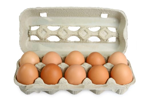 Egg Carton