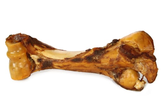 Dog bones