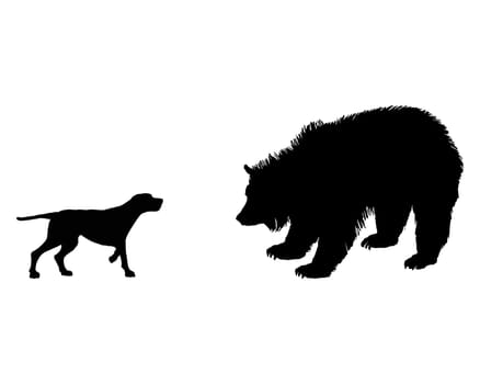 Hound meets grizzly