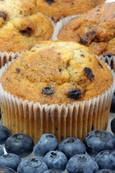 Blueberry Muffins