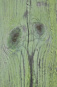 Grain in old wood