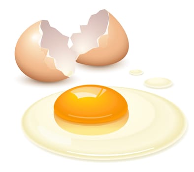 Broken egg