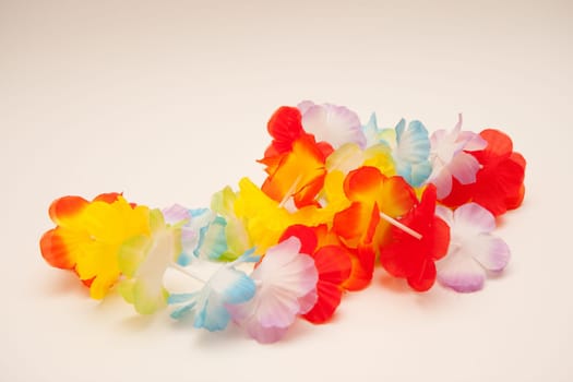 Hawaii Necklace