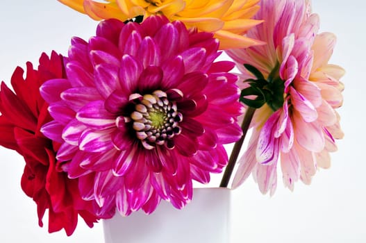 Dahlias in flower vase