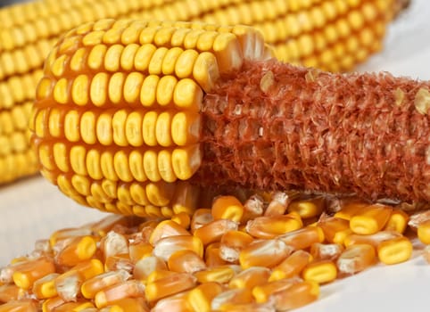 corncob detail
