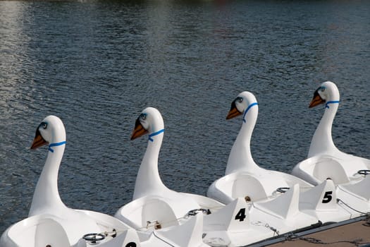 Pedalo