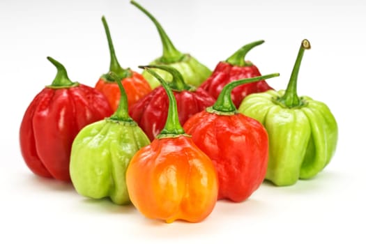 chilly pepper collection background