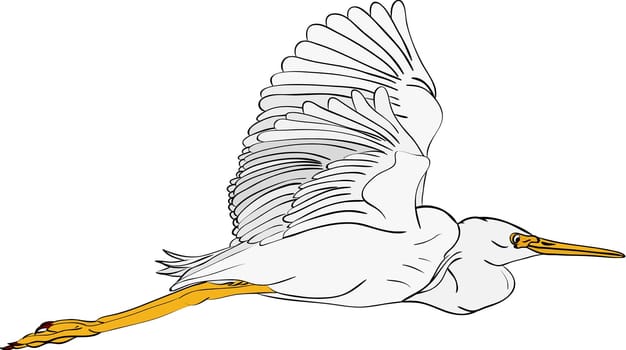 great egret