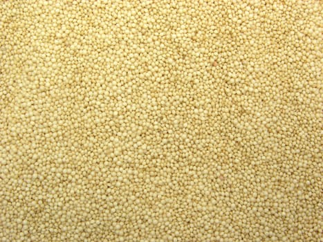 Amaranth as wallpaper