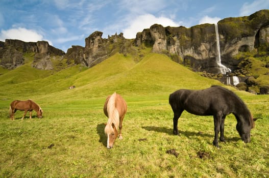Iceland12