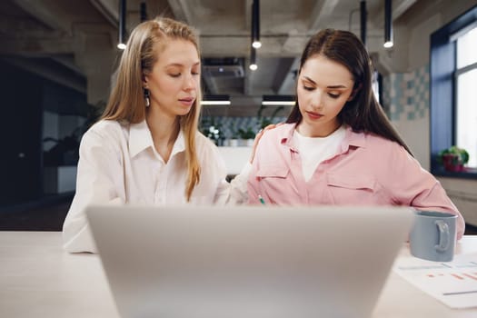 Two women entrepreneurs working together in modern office