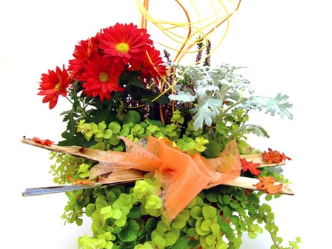 Floral arrangement