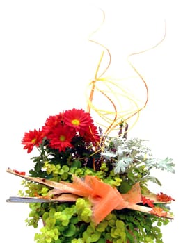 Floral arrangement
