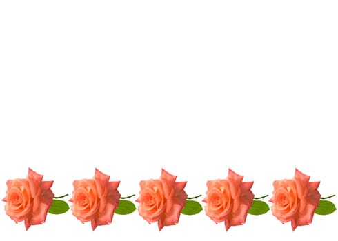 mothers day roses card background