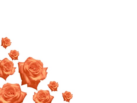 mothers day card  rose flowers frame background