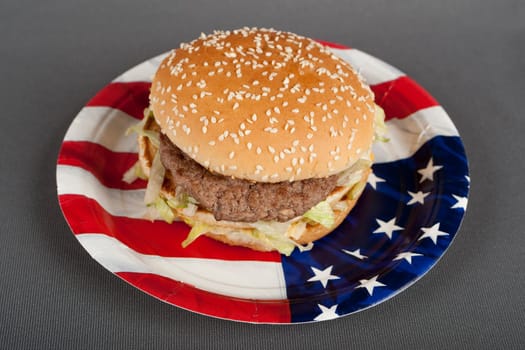 Hamburger on Paper Plate America