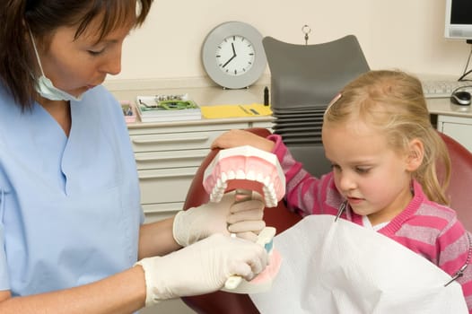 Dentist