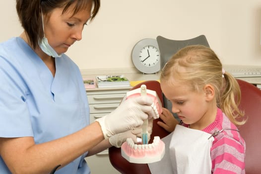 Dentist