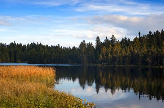High moor Etang de la Grurere