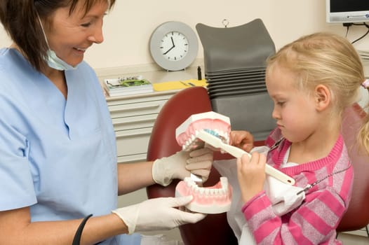 Dentist